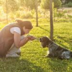 Can Older Dogs Be Trained as Service Dogs for Anxiety Training Older Dogs for Anxiety: Yes, They Can Be Service Dogs