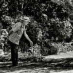 How to Train Your Catahoula Leopard Dog: Tips for Proper Training and Obedience