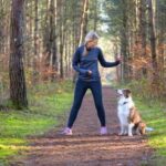 How to Train Your Dog to Find a Specific Toy Step-by-step guide for how to train your dog to find a specific toy quickly and effectively