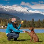 Step-by-step guide on how to use NVK dog training collar effectively and safely