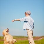 Should I Use a Clicker to Train My Dog Should I Use a Clicker to Train My Dog: Pros and Cons