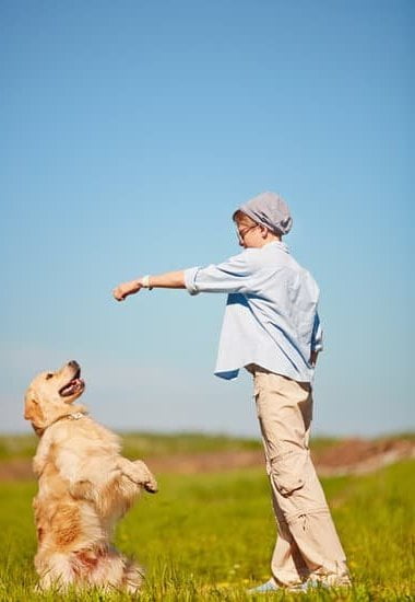 Should I Use a Clicker to Train My Dog 1 Should I Use a Clicker to Train My Dog: Pros and Cons
