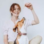 Dog Trainer helping a fearful dog – building trust and confidence
