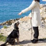 How to Train Dog Speak: Step-by-Step Guide