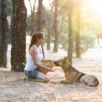 Allowed on New York trains, dogs must be leashed and on the owner's lap or in a carrier