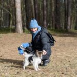 How To Train Dog to Sit and Stay - Brandon's Proven Methods for Obedience Training Success