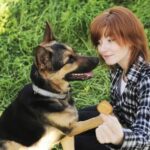 Overcoming fear: How to train a dog that is afraid of everything