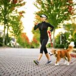 How to Train Dog to Not Bark at Everything Image showing how to train a dog to not bark at everything