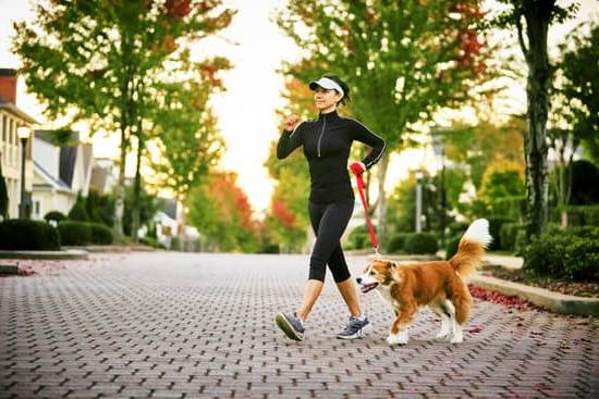 Image showing how to train a dog to not bark at everything