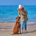 Can You Take Dogs on Trains in France French train pet policies: Can you take dogs on trains in France Learn more here