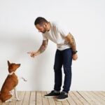 How to Train Pheasant Dog Step-by-Step Guide on How to Train Pheasant Dog