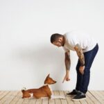 How to Train a Lazy Dog to Fetch Training a lazy dog to fetch: positive reinforcement, short throws, and patience