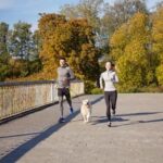 German Shepherd Police Dog Training: Methods and Tips