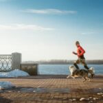 Building trust before obedience in dog training fosters better behavior and stronger bond