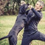 Why You Should Crate Train Your Dog Why You Should Crate Train Your Dog: Safe and Effective Method for Behavior Management