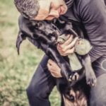 How to Train a Dog to Track Mountain Lions Step-by-step guide on how to train a dog to track mountain lions using positive reinforcement