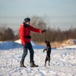 How to Start Training a Dog for Search and Rescue Step-by-step guide on how to start training a dog for search and rescue missions