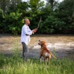 How to Train a Dog Easily Step-by-step guide on how to train a dog easily at home