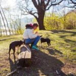 How Much Is It to Get Your Dog Service Trained - Affordable dog service training rates: How much is it to get your dog service trained