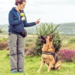 How to Train Your Dog Latin Book: Step-by-Step Guide for Canine Comprehension