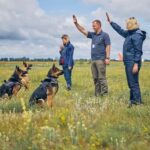 How to Train Dog to Not Run Away Training dog to not run away: Repeated recall exercises in controlled environment with positive reinforcement