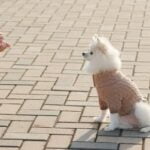 Training dogs to detect drugs through positive reinforcement and scent recognition methods