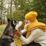 How to Train a Dog to Give You the Ball Step-by-step guide on how to train a dog to give you the ball effortlessly