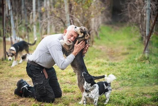 How to Train You Dog Not to Jump on People 1 Training your dog not to jump: positive reinforcement, consistent commands, and redirecting focus
