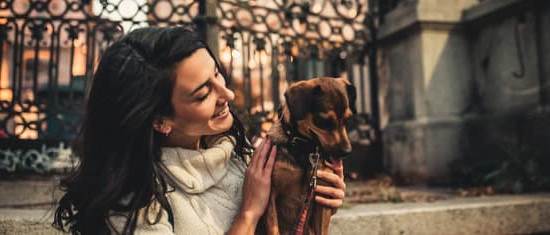 What Age to Start Training Dogs: Ideal Time for Basic Commands, Socialization, and Potty Training