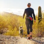 Train my dog to stop growling at other dogs