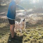 how would rome train guard dogs