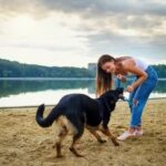 Can You Train a Dog Not to Hump Other Dogs Training Your Dog to Stop Mounting Other Dogs: Techniques and Tips for Success