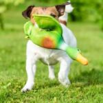 How to Train Your Dog in RDR2 Online: Mastering Obedience in the Wild West Game