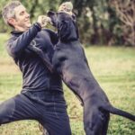 How to Kennel Train a Small Dog Step-by-step guide on how to kennel train a small dog