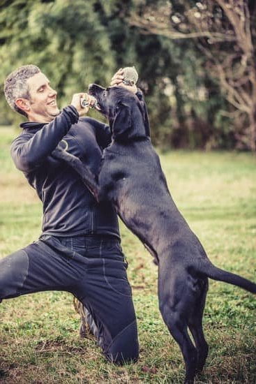How to Kennel Train a Small Dog 1 Step-by-step guide on how to kennel train a small dog