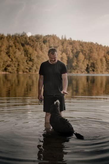 Which Amtark Trains Allow Dogs 1 Accepts dogs: Amtark trains with pet-friendly policies and guidelines for traveling with dogs