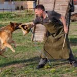 How to Train Dog Not to Run Out Door Training your dog to stay indoors: A guide on how to train dog not to run out door