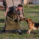 Do They Train Dogs to Smell Fir Aderall Training dogs to detect Adderall scent for law enforcement purposes