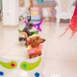 How to Talk Dog Dog Training Smart Training Step-by-step guide for how to talk dog training: Smart training techniques for effective communication