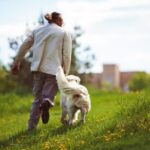 Can You Train a Dog to Track Deer: A Guide to Teaching Tracking Skills to Your Canine Companion