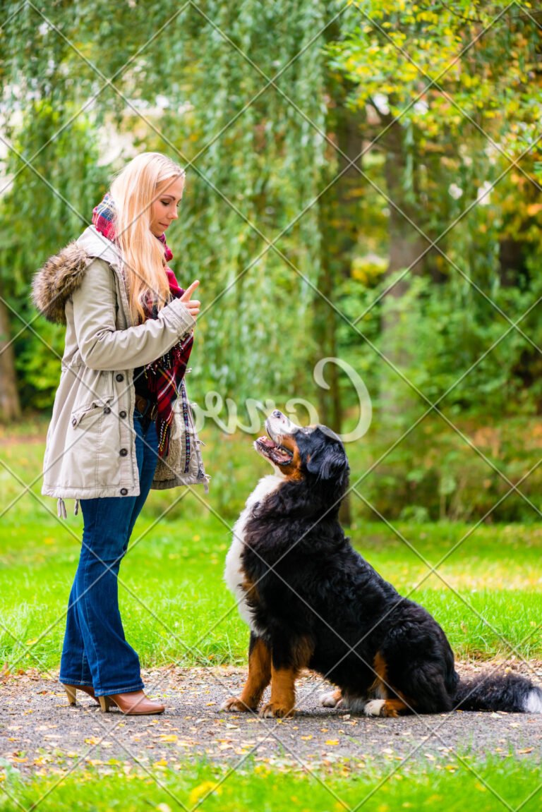 Training a Dog to Protect Chickens: Positive Reinforcement Methods