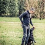 How much to train service dog: Cost of professional training for service animals