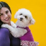 How to Train Dog to Ignore Distractions Training a dog to ignore distractions: step-by-step guide for success