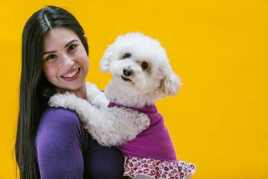 Training a dog to ignore distractions: step-by-step guide for success