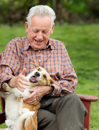 Professional service dog trainer providing specialized training for individuals with disabilities