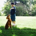 Protection Dog Training Professional training for protection dogs, emphasizing obedience, loyalty, and guarding skills