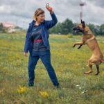 Dog Training Chicago Professional Dog Training Services in Chicago