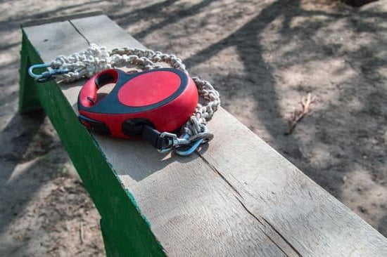 Dog Trainer Collar 1 Professional dog trainer collar for effective training and behavior correction