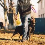 Bousnic Dog Training Collar BOUSNIC Dog Training Collar - Ultimate Training Tool for Remote Obedience Training and Behavior Correction