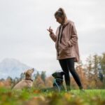 Interactive dog training buttons for positive reinforcement and behavior modification